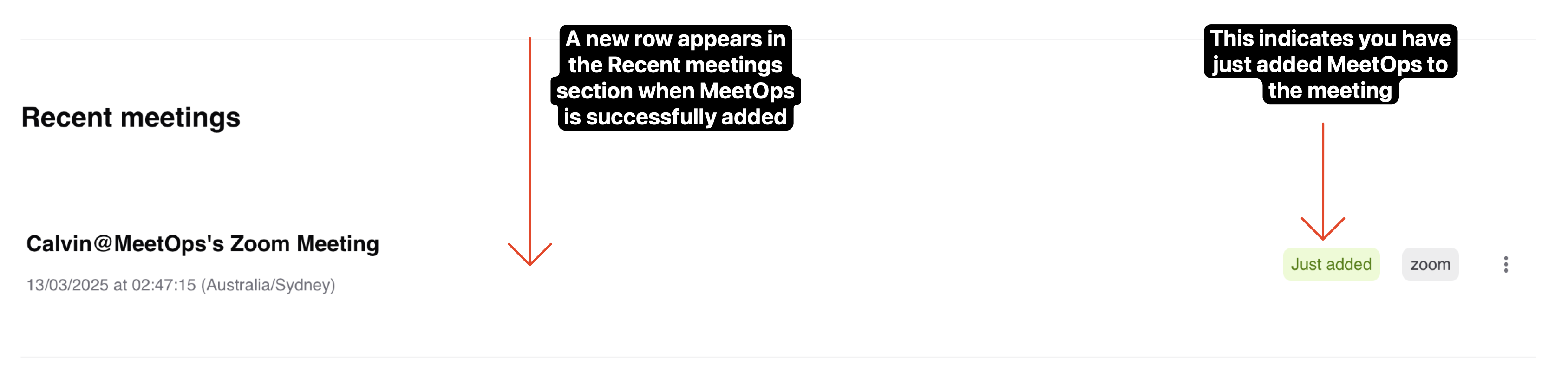 Recent Meetings Section